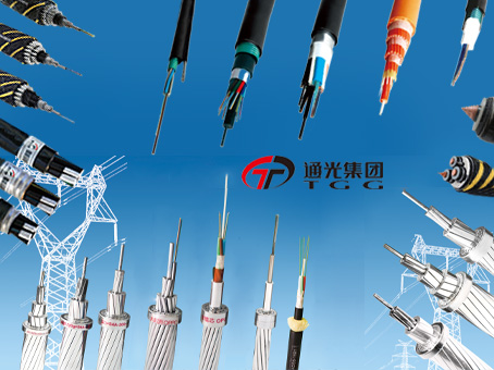 TGG provides integrated services and comprehensive solutions of R&D, manufacturing, sales and etc., which is in the fields of communication, power & energy, intelligent equipment and so on.