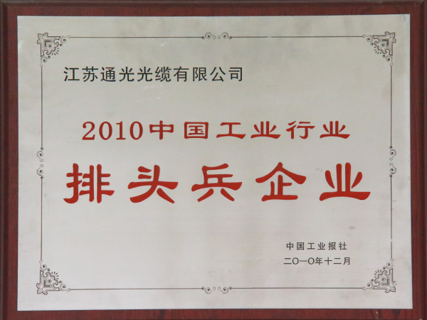 2010中国工业行业排头兵企业